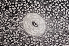 torus 110x110 acryilic on canvas1